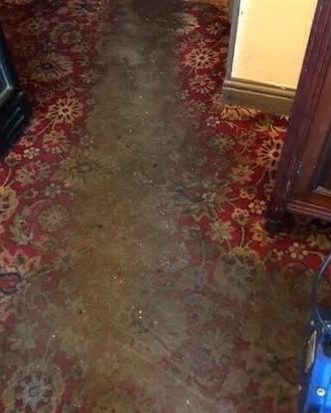 A red patterned carpet with a brown worn lane down the middle