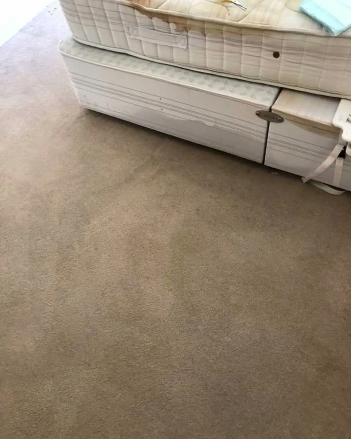 The same carpet after cleaning, stains gone
